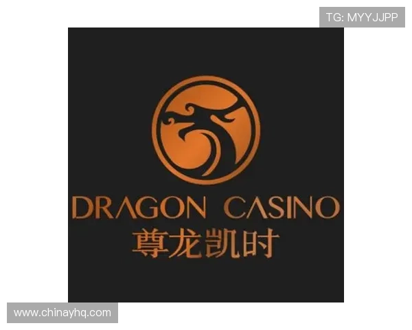 尊龙凯时共赢共欢乐：携手共创辉煌未来的合作新篇章