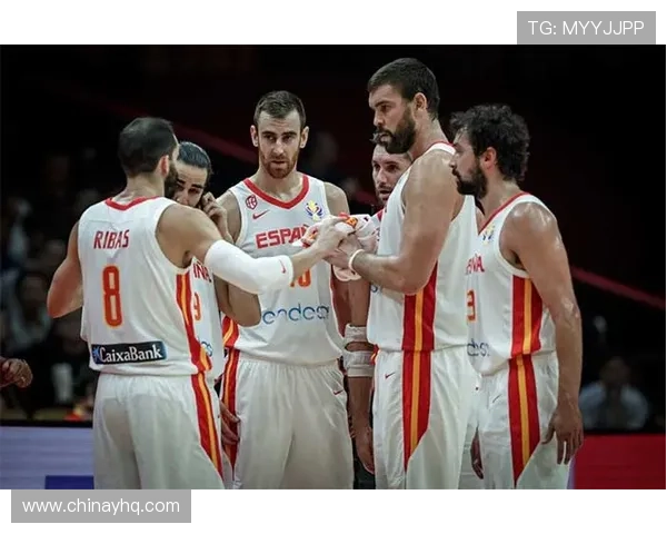 盈球体育：深度解读体育赛事直播与实时比分的最佳选择