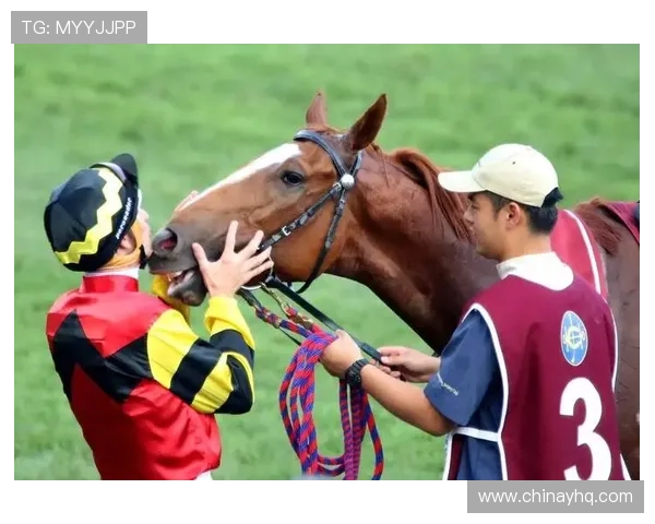 凯发体育官方网站提供多样化的体育项目选择满足不同用户的投注偏好