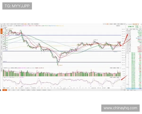 了解BG真人走势变化趋势及投资策略的全面指南 了解BG真人走势变化趋势及投资策略的全面指南